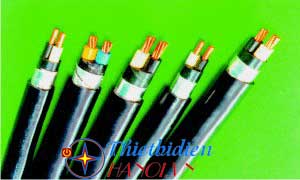 Dây cáp điện Cadivi, Cáp điện kế DK / CVV 3x25+1x16