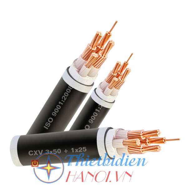 Dây cáp điện Cadisun, Cáp treo CXV 3x50+1x35