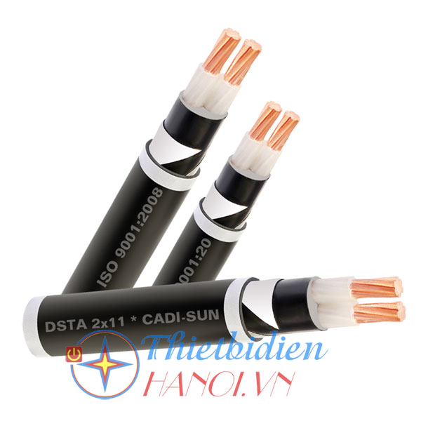 Dây cáp điện Cadisun, Cáp ngầm DSTA 2x4