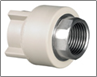Nối ren trong loại II (PPR phụ kiện) màu xanh dương dn20×1/2＂