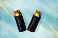 Dây cáp điện Cadivi, Cáp treo hạ thế CVV 3x70+1x50