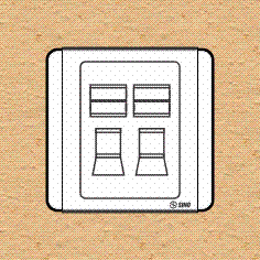Ổ cắm máy tính 8 dây có nắp che loại đôi - S6632RJ5E