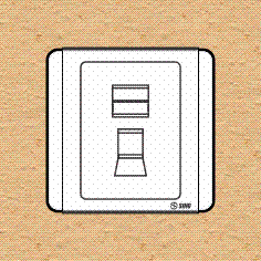 Ổ cắm máy tính 8 dây có nắp che loại đơn - S6631RJ5E