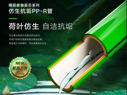 Ống PP-R chống bám bẩn tự làm sạch bionic hình lá sen Lesso