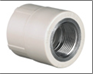 Nối ren trong loại II (PPR phụ kiện) màu xám dn32×1＂