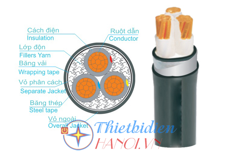 Dây cáp điện Trần Phú, Cáp ngầm CXV-DSTA 3x6