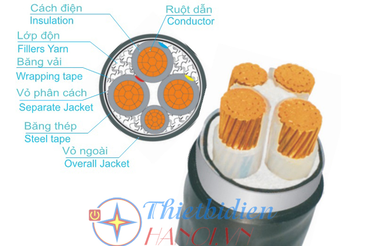 Dây cáp điện Trần Phú, Cáp ngầm CXV-DSTA 3x10+1x6